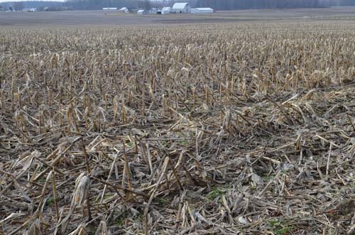Property photo 32 - 98+/- Acres Offered in 6 Tracts or Combinations, Noble County, Indiana Farm